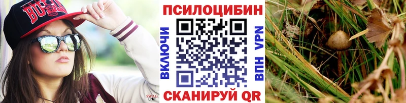 закладка  маркетплейс клад  Галлюциногенные грибы Psilocybe  Ярцево 